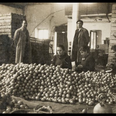 Magatzem de taronges per dur al mercat